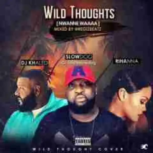 SlowDog - Nwanne Waa (Wild Thoughts Cover)
